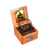 Acid Plush Cigars Box of 24 3