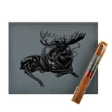 Foundry Chillin’ Moose Corona Cigars Box of 20