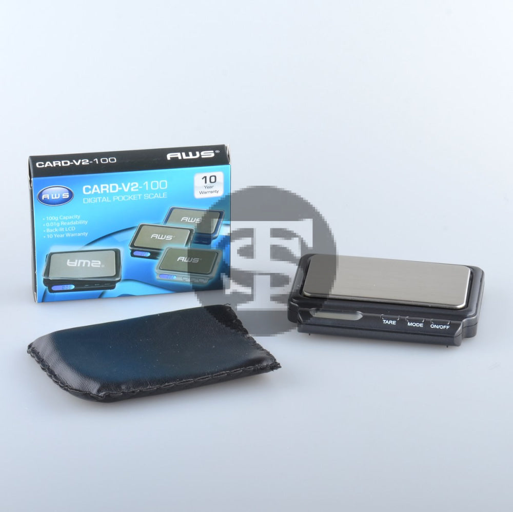 Scale CARD V2-100 Gray 100g X 0.01g CARD-V2-100 1