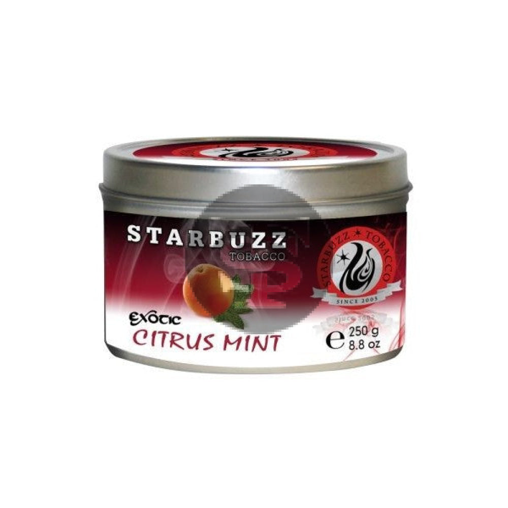 StarBuzz Exotic Citrus Mint Hookah Shisha 100g – Tobacco Stock