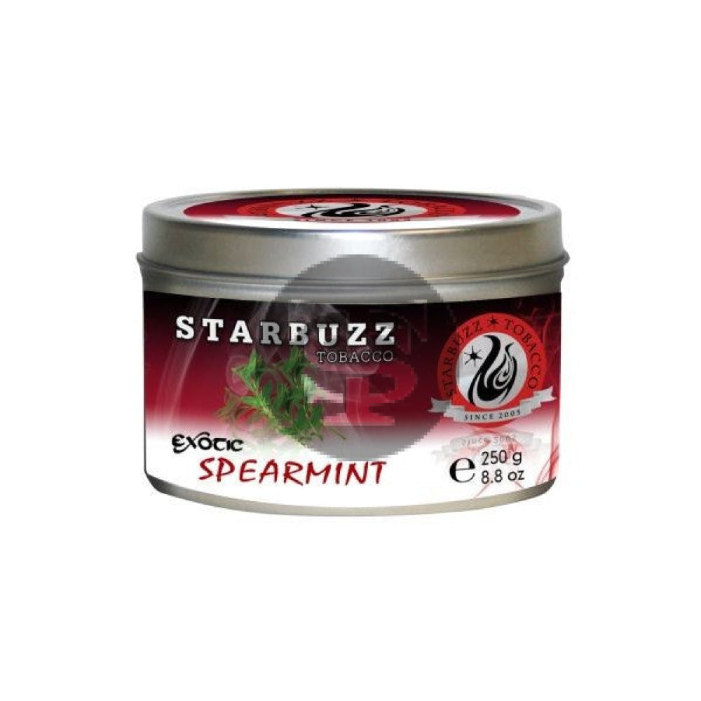 StarBuzz Exotic Spearmint Hookah Shisha 100g 1
